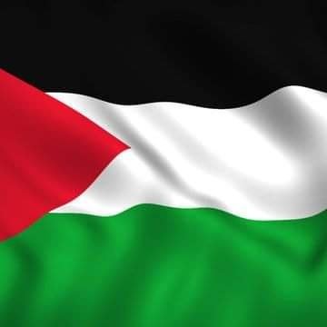 🇹🇳🇨🇦🇵🇸🇱🇧🇿🇦🇮🇪
RT and likes are not endorsements.
