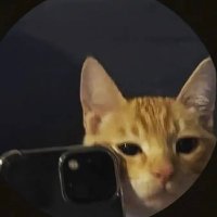Corwas (@corwass) 's Twitter Profile