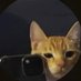 Corwas (@corwass) Twitter profile photo Corwas (@corwass) Twitter profile photo