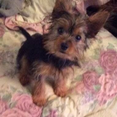 secretweb4me's profile picture. An American who loves America.  Retired from government, and not liking what is happening to our country under our current administration.