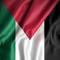 Fadi Mq˛70 🏆 Gaza🇵🇸 (@fadimq20) 's Twitter Profile