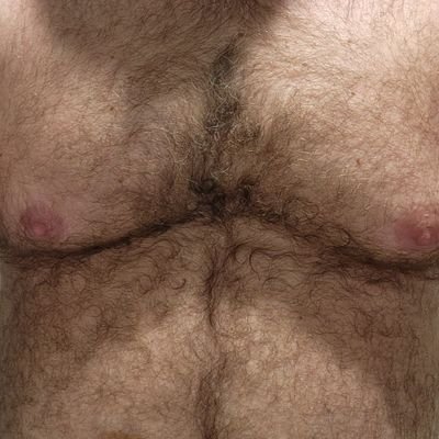 45 year old bear.  I'm just a big hairy guy who's into showing off, looking for other guys who like to show off, preferably big and/or hairy. DMs open. NSFW  🔞