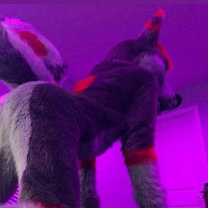 Whitefox25910's profile picture. furry 18+
 just posting furry content,roblox,etc