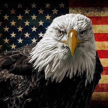 libsplatter's profile picture. This is not a safe space. Educated #MAGA Republicans #2A 🔫