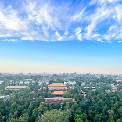 CalvinLuan1's profile picture. 