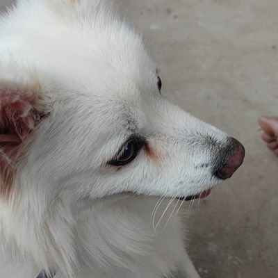 ramireddy1997a's profile picture. cool 😎