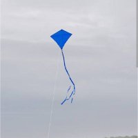 Blue Kites(@Kiteliban) 's Twitter Profile Photo