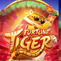 hack.bet (@hack_bettiger) 's Twitter Profile