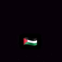 Ahmed Ashraf (@ahmedashraf3091) 's Twitter Profile
