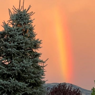 flhtk2020's profile picture. 