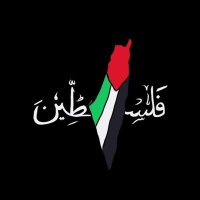 Manoo Ragab (@ragabmanoo) 's Twitter Profile