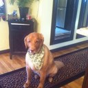 chris seidler - @cseids1 - Twitter