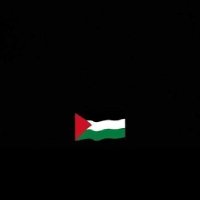 Eman Elmohammedy (@emanelmoha20773) 's Twitter Profile