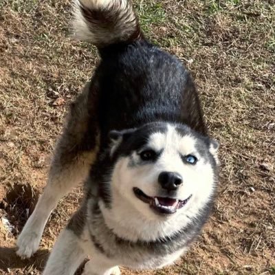 Nathanaeljimz's profile picture. 