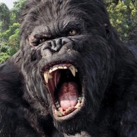 Gabriel (@gabrieljesustol) 's Twitter Profile