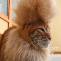 Mickey Lockhart (@sirmickeyman) 's Twitter Profile Photo