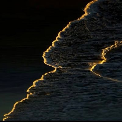 Randyzheng777's profile picture. 