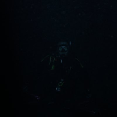 dylanchilchik's profile picture. 