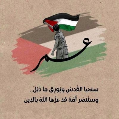 omar_alzwy's profile picture. 