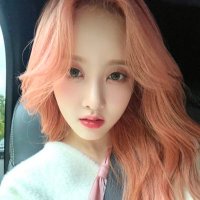 🍌 ִֶָ 𖥻 ٫ ໋ ava 🥠 rt pinned !! (@sieunstulips) 's Twitter Profile