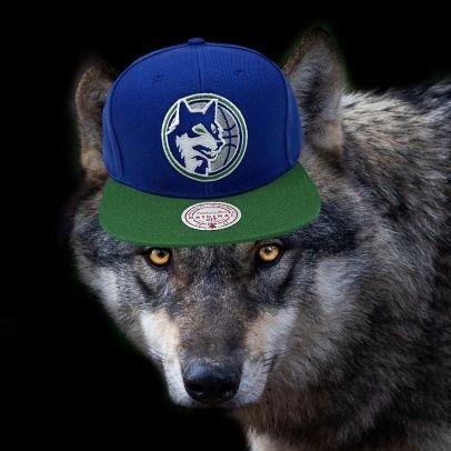 T-Wolves Tidings!
I'll follow you back if you're a part of the wolf pack 👍