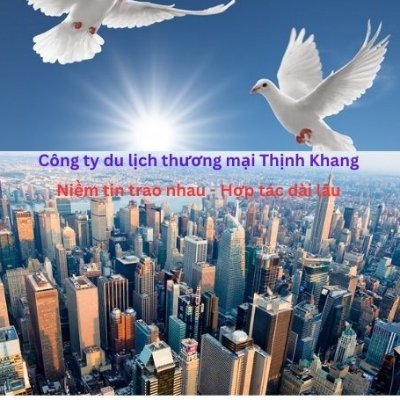 Twitter chính thức của CEO Vũ Diệu Linh Công ty du lịch Thương mại Thịnh Khang