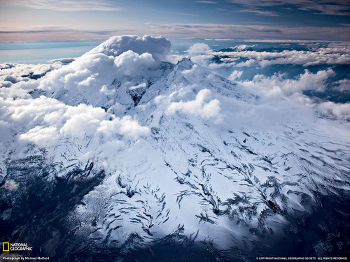 L8moonchild's profile picture. 