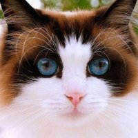 Walber (@walberrm) 's Twitter Profile