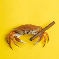 The Intel Crab(@IntelCrab) 's Twitter Profile Photo