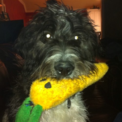 DavidWeathers1's profile picture. 