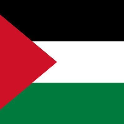 Viva_Falastina's profile picture. #NeverAgain means never again for everyone.