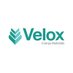 Velox Energy Materials (@veloxenergy) Twitter profile photo Velox Energy Materials (@veloxenergy) Twitter profile photo