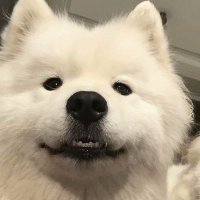 KP (@hhellolleh) 's Twitter Profile
