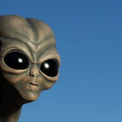 Handy_Hammy's profile picture. 