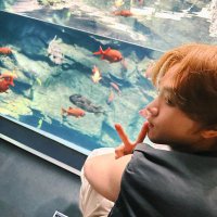 meisyuww (@fullsunshineee7) 's Twitter Profile Photo meisyuww (@fullsunshineee7) 's Twitter Profile Photo