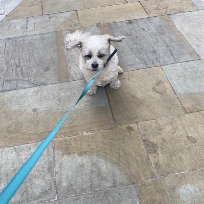 DavidWooda38621's profile picture. 