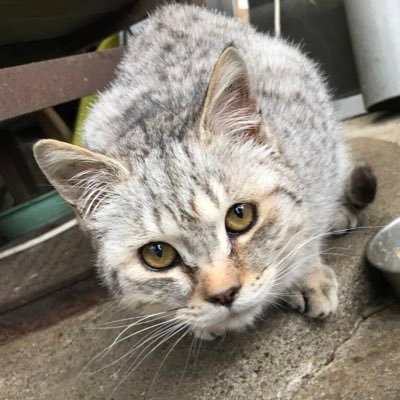 L0VE_UZN's profile picture. 岡大農②🐛授業ぎゅうづめ大学生