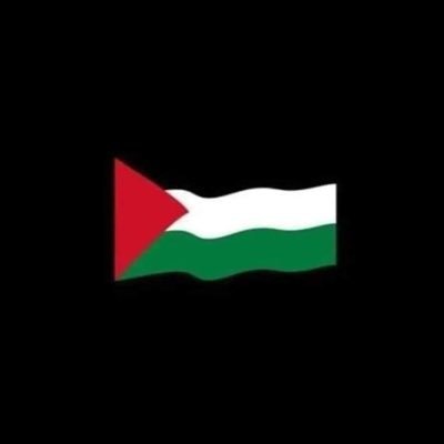 tahianasser's profile picture. Bluesky: tahiaabdelnasser@bsky.social