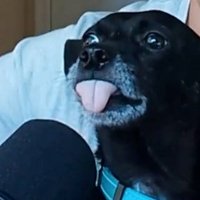 Borders (@brandon_borders) 's Twitter Profile Photo Borders (@brandon_borders) 's Twitter Profile Photo