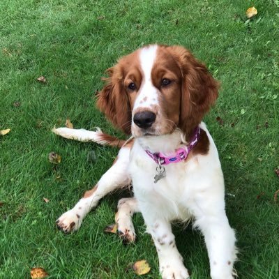 CrackingJohn's profile picture. 