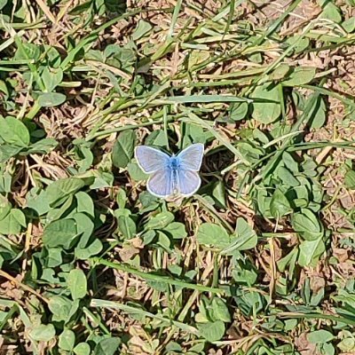 D_Nador's profile picture. Dreaming for big things in a small world.
Sports, peace and politics. 
Add some food n wine to it.