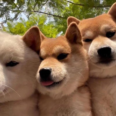 qwerasdfzx64487's profile picture. Sis Lover
185/75
#TIWID