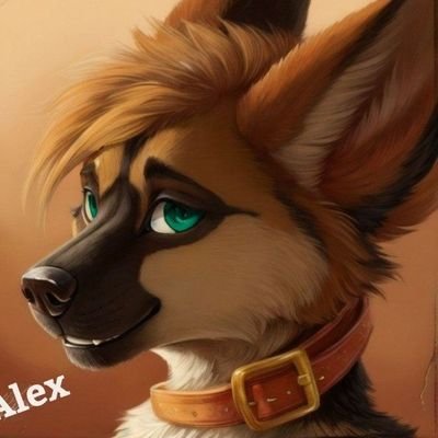 Alex The Shep