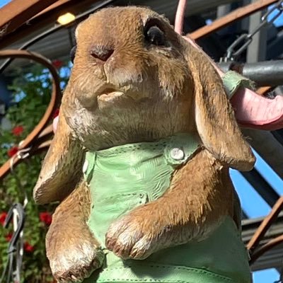 moyaさんのプロフィール画像