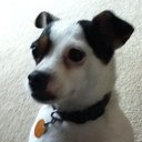 Dalton Comer - @Dton_C - Twitter