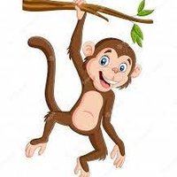 zar (@zarterel) 's Twitter Profile