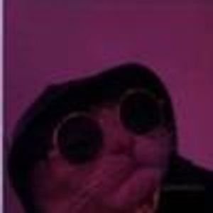 burakkyavuz's profile picture. I like FPS games like CS2 and Valorant and like cats as well