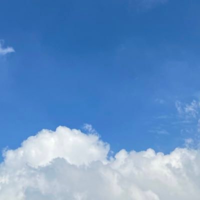 wimpyey's profile picture. life had never been sweeter.