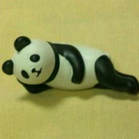 Maruyama Jumpei (@jumyandpecology) Twitter profile photo