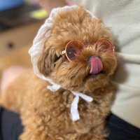 な𝕏おし (@na_weee) 's Twitter Profile Photo な𝕏おし (@na_weee) 's Twitter Profile Photo